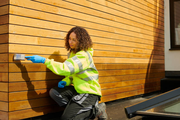Affordable Siding Repair and Maintenance Services in Lynnwood, WA